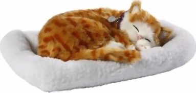 garfield-medium.jpg
